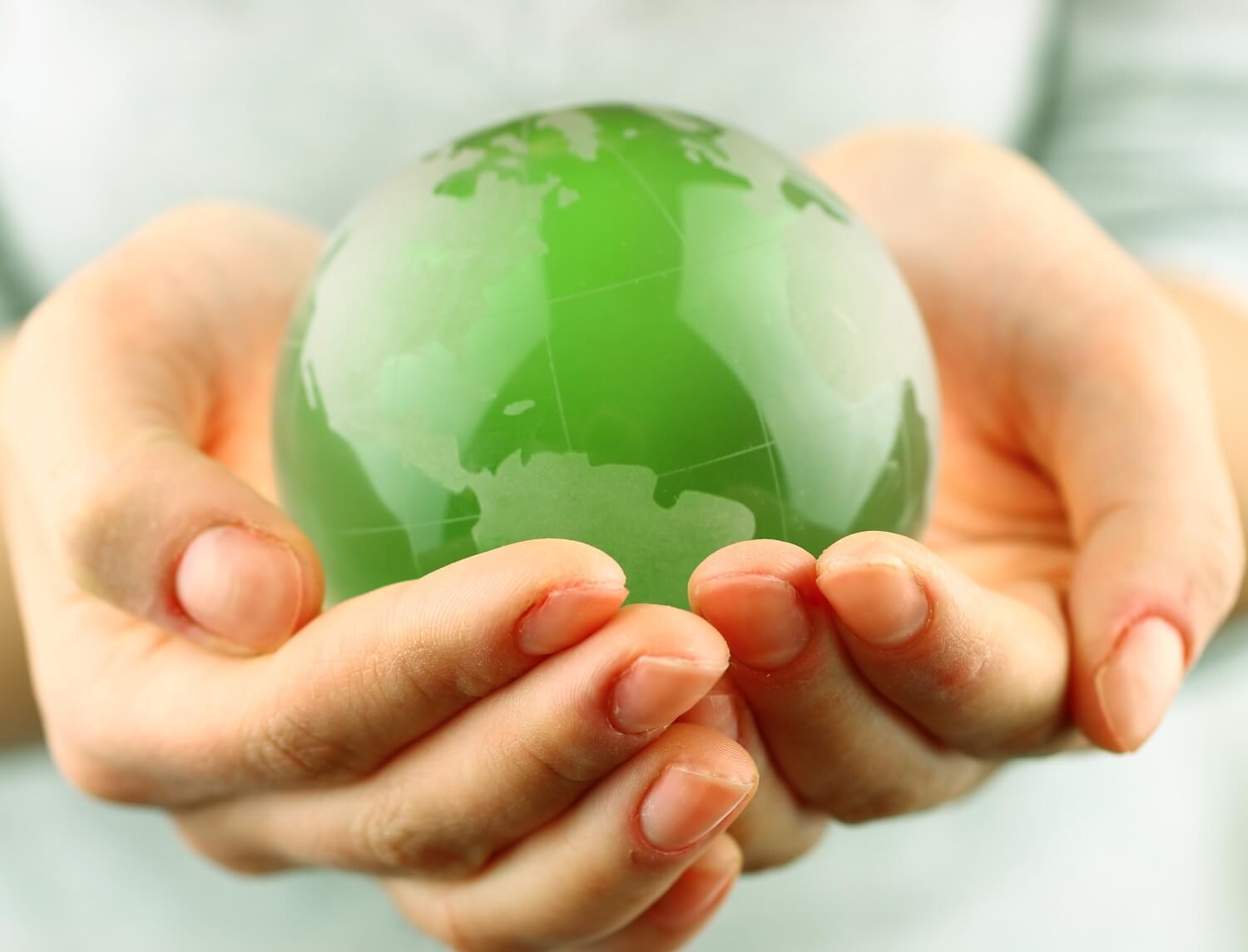 Sustainability In Travel.